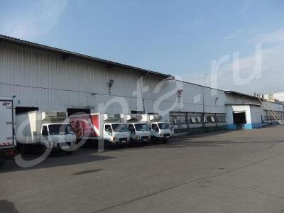 ����� ��������� ��� �����, ����������, ������������