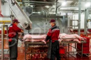 ������ �������� ������. ������������