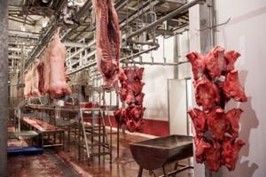 ������ �������� ������. ������������