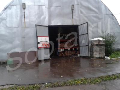 ���� �����