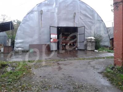 ���� �����