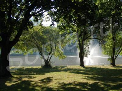 ������� ������� � ������� ����, ������