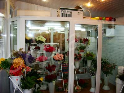 ������ ��������- ��������� �����-�/� �������