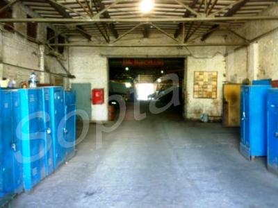 ������ �������� � �. ���������������