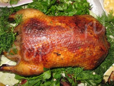 ���� ���� �����.