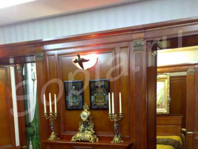 ������-����������� ������ �����-����. 