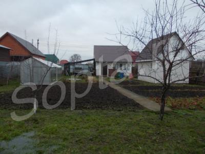 ��� � ������� (����). ����������. ���������� ���