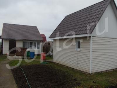 ��� � ������� (����). ����������. ���������� ���