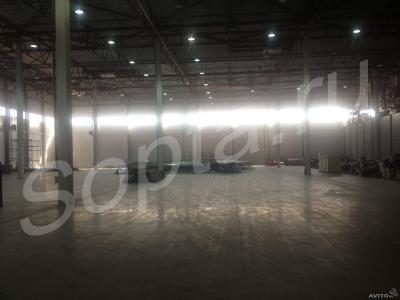 ���� ����� 1700 ��.�, 1�� �� ����, ��������.