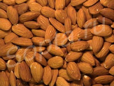 �������� ������� �������