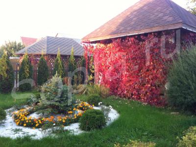 ���� ��� ��������� � �� ������� ���������