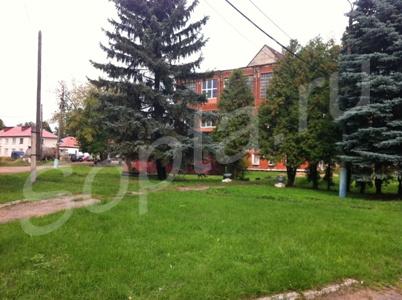 ������ ���������������� � ��������� ���������