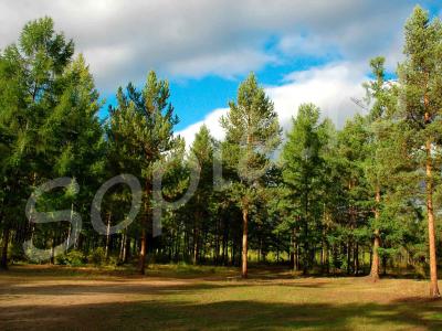 �������� �� ����������� �. ������ � �����������