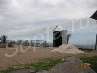 ���� � ������ �����