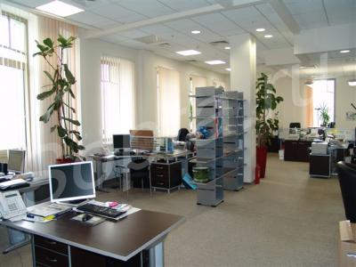 ���� ���� �.�����-�����