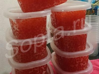 ������� ���� �������� ��������