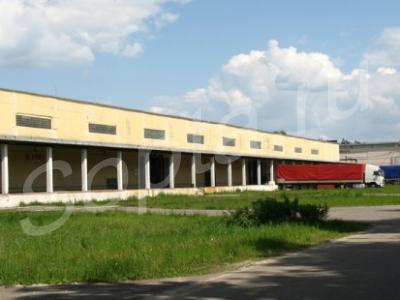 ���� �������� ��������