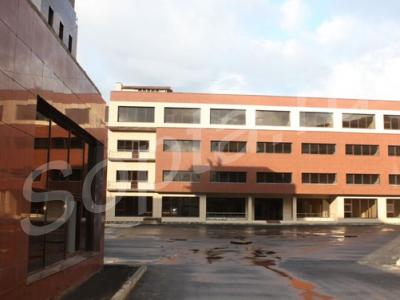 ������ ��������� ���  ���, ������, ������, �������