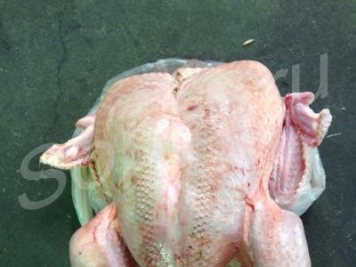 ������� � ������������!