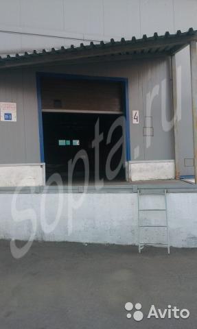 ����� � ������ ����� ����