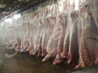 �������� ����� � ���������. ������. �� �������������