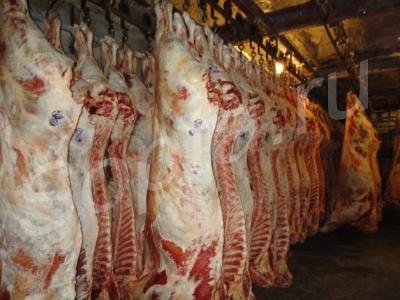 �������� ����� � ���������. ������. �� �������������