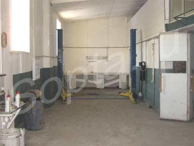 ���� ��������� ��� ����������, ������������, �����