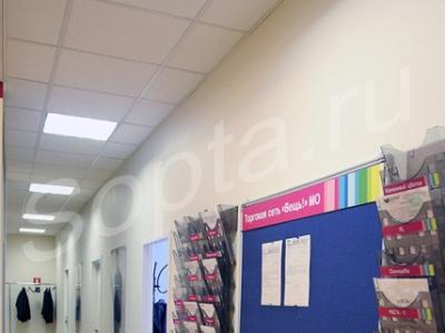 �������: ���� 20 �2. (�����������)