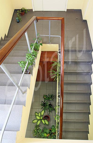 �������: ���� 20 �2. (�����������)