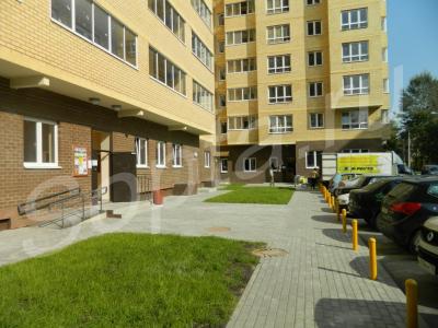 ������ 1-��� ��������