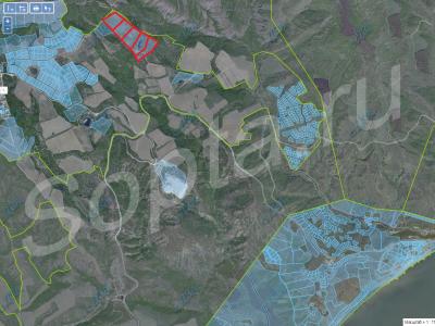 10 ������ � 3 �� �� ����