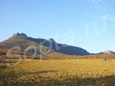 10 ������ � 3 �� �� ����