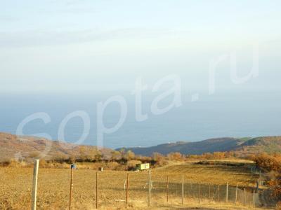 10 ������ � 3 �� �� ����