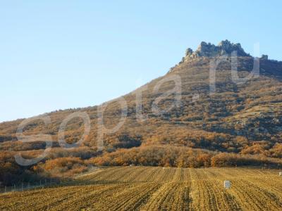 10 ������ � 3 �� �� ����