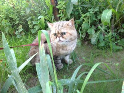 ������ ��� �� ������� 10 ����� ���