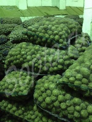 ��������� ����� 5+ �� �������������