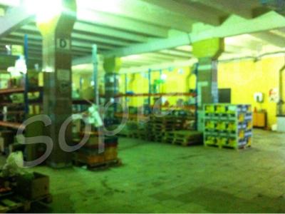 ���� ����� � ���������