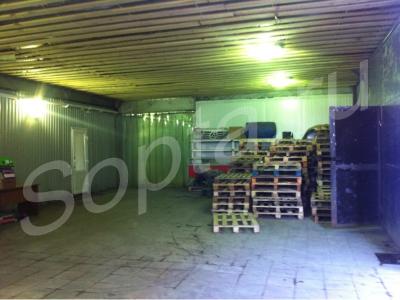 ���� ����� � ���������