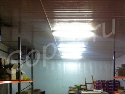 ���� ����� � ���������