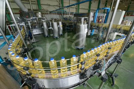 ������������ ����� �����, �����, �������, ��������