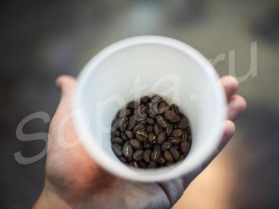 ���� ���� ������ �������