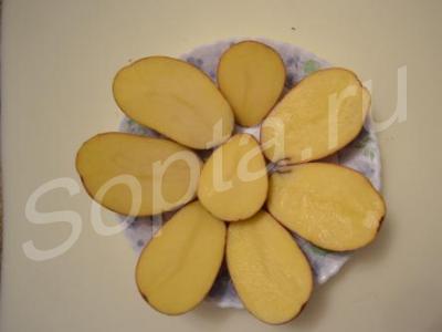 ������� ��������� 2015 ���� � ����� �����