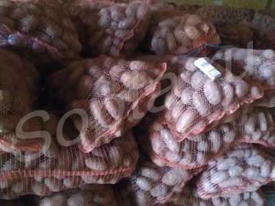 ������� ��������� 2015 ���� � ����� �����