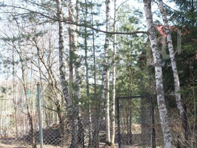 ���� 130 ��.�. �� ������� 8 ����� (���)