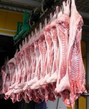 ������� �����