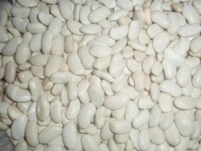 ������ ����� �������