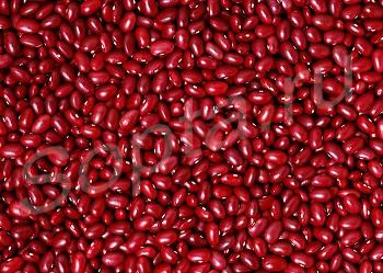 ������ ����� �������