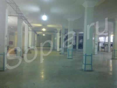 ���� ���������������� ���������, ������