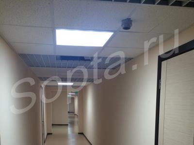 �����������, �������� 0% 