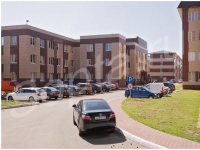 ������, �����, ������, ���������, ��� ��������